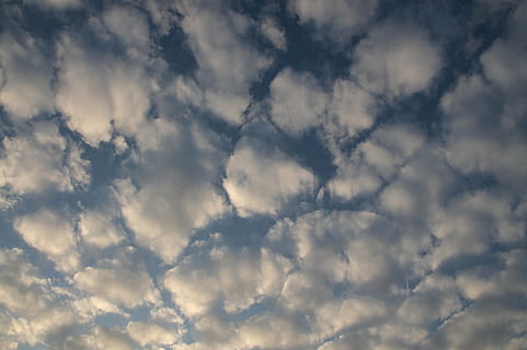 nubes, nube de estratocúmulos, cielo, lanudo, clima, nube - cielo, belleza en la naturaleza, antecedentes, paisaje de nubes, naturaleza, nadie, atmósfera, paisajes - naturaleza, ambiente, viento, nublado, día, azul, cielo dramático, al aire libre, modelo, vista de ángulo bajo, oscuro, meteorología, 4K, CC0, dominio público, libre de derechos