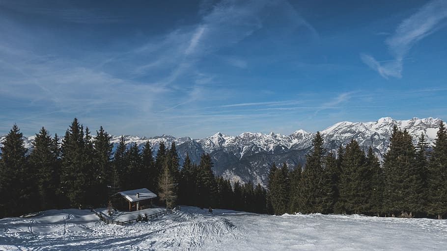 marró, cabina, cobert de neu, camp, al costat, línia d’arbre, aèria, foto, blanc, casa, envoltar, arbres, hivern, Serra, xalet, bosc, neu, muntanya, muntanya nevada, refugi, arbre, austrium, vista escènica, fotografia de paisatge, explorar, aventura, temperatura de fred, bellesa a la natura, planta, escenics - natura, cel, escena tranquil·la, tranquil·litat, escena no urbana, naturalesa, medi ambient, núvol - cel, paisatge, dia, terra, cap gent, pi, a l'aire lliure, arbre de coníferes, estació d'esquí, 5K