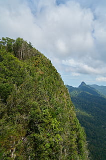 Berg, Baum, Taylor, Wald, Natur, Landschaft, wunderschönen, Himmel, Wolke, Frieden, Hochland, Hintergrund, Sonnenuntergang, Berge, Grün, Frühling, hoch, Wolken, Bäume, Umwelt, Pflanze, natürliches Leben, Farbe, lebendige Farbe, Pflanzendecke, großartig, aktuelle Saison, botanisch, Farbbild, Jahreszeit, wolke - himmel, Schönheit in der Natur, Szenen - Natur, Ruhe, ruhige Szene, grüne Farbe, Nicht-städtische Szene, Umgebung, Wachstum, Tag, keine Leute, idyllisch, Fernbedienung, üppiges Laub, Gebirge, draußen, 5K, CC0, gemeinfrei, lizenzfrei