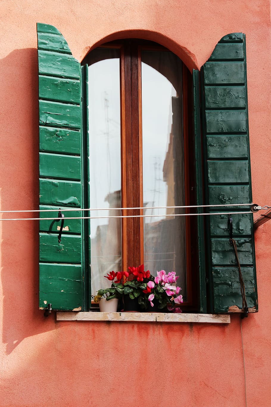 finestra, persiane, Aperto, otturatore, legna, fiore, pianta fiorita, architettura, struttura costruita, pianta, esterno dell'edificio, costruzione, nessuno, giorno, natura, colore verde, Casa, Entrata, vetro - materiale, porta, all'aperto, quartiere residenziale, davanzale, chiuso, telaio della finestra, vaso di fiori, 5K