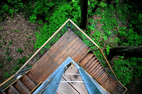 stairs, bird, eye view, trees, architecture, bird's eye view, perspective, rustic, wooden, plant, wood - material, built structure, forest, tree, land, day, bridge, nature, no people, connection, footbridge, direction, green color, growth, the way forward, staircase, outdoors, bridge - man made structure, ladder, 4K, CC0, public domain, royalty free