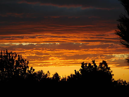 posta de sol, núvols, cel, sol, tarda, núvols de cel, paisatge de la posta de sol, cel del capvespre, núvol - cel, bellesa a la natura, color taronja, silueta, arbre, escenics - natura, tranquil·litat, escena tranquil·la, planta, naturalesa, idíl·lic, cap gent, cel dramàtic, a l'aire lliure, creixement, escena no urbana, medi ambient, majestuós, cel romàntic, 4K, CC0, domini públic, lliure de regalies