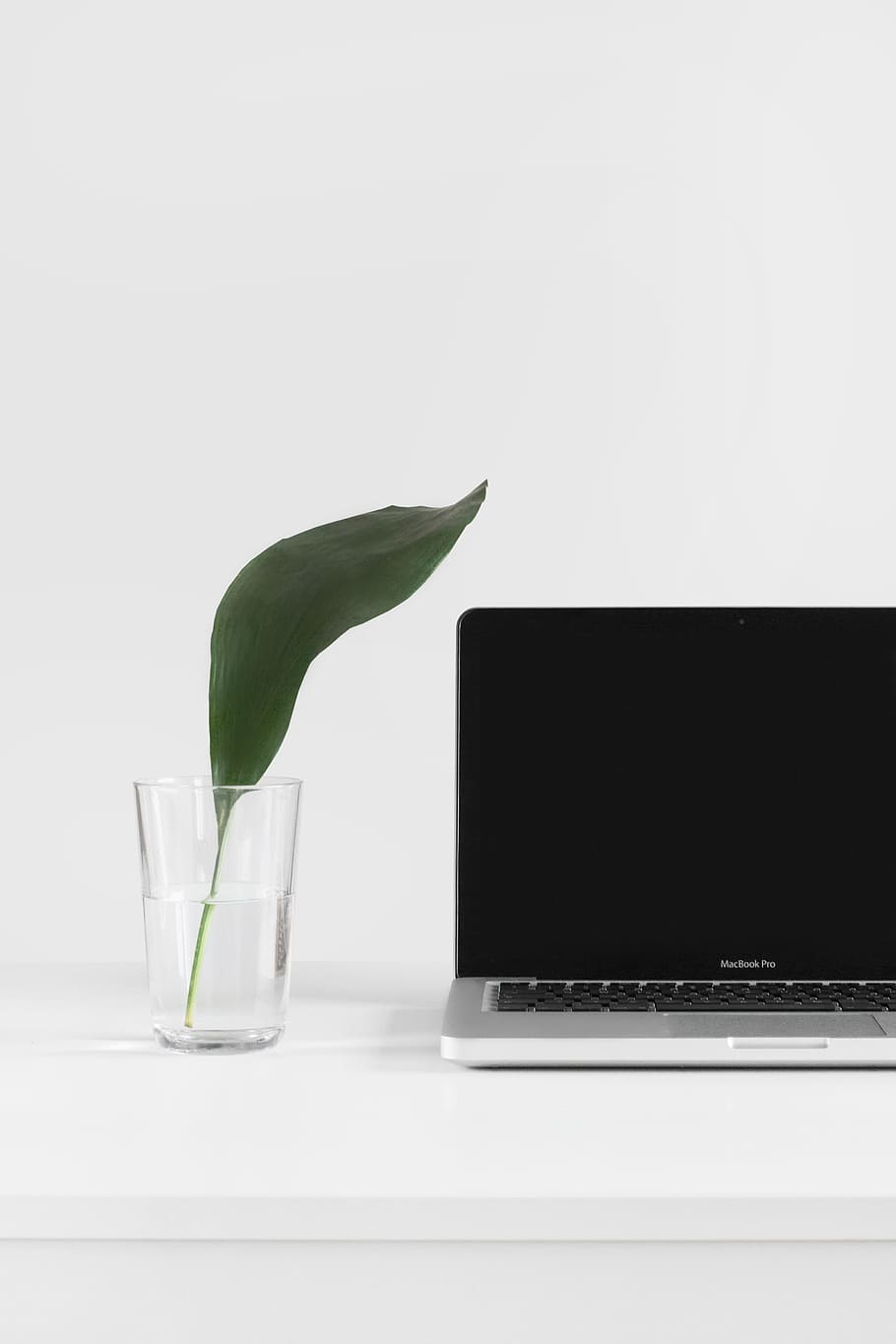macbook, pro, ved siden af, plante, vase, klar, drikkeglas, macbook pro, glas, grønt blad, På toppen, hvid overflade, blad, hvid, computer, bærbar, teknologi, ingen mennesker, bord, blomst, indendørs, trådløs teknologi, grøn farve, friskhed, natur, plante del, studio skud, tæt på, kopiere plads, meddelelse, stilleben, forbindelse, bruger bærbar computer, 5K