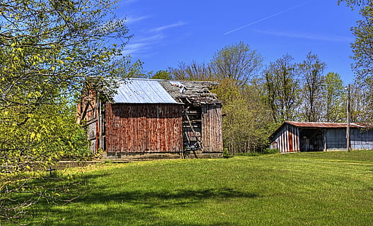 lade, rustik, staldene, ohio, digital kunst, landdistrikterne, naturskøn, Land, landskabet, landskab, skur, skure, gård, gårde, landbrug, landbrugs, stuehus, Champaign, region, americana, Foto, fotografi, struktur, strukturer, sturgell, william sturgell, bill sturgell, historisk, hjem indretning, bygninger, skyer, himmel, træ, træer, overskyet, ukrudt, champaign county, Urbana, arkitektur, bygget struktur, bygning udvendig, plante, græs, natur, bygning, hus, grøn farve, jord, landbrugsbygning, ingen mennesker, landlige scene, træ - materiale, boligområde, udendørs, 4K, CC0, offentligt domæne, royaltyfrie