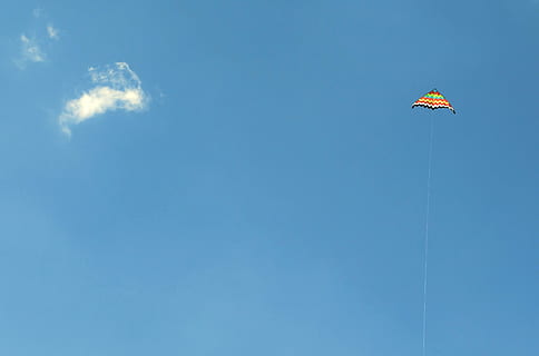 en haut, multicolore, cerf-volant, clair, ciel, bleu, nuage, en volant, faible angle de vue, espace de copie, journée, la nature, nuage - ciel, aventure, en plein air, beauté dans la nature, lumière du soleil, personne, vent, cerf-volant - jouet, environnement, sport, ensoleillé, 2K, CC0, domaine public, libre de droits