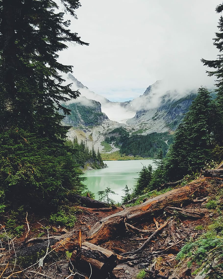 See Wasserlandschaft, Bäume, See, über, Berg, bedeckt, Schnee, Weiß, Wolken, Blau, Himmel, Baum, Wald, Wasser, immergrün, Kiefer, Kofferraum, Log, Holz, Nebel, Wolke, draussen, draußen, Natur, Pflanze, Ruhe, Schönheit in der Natur, Szenen - Natur, ruhige Szene, Tag, Nicht-städtische Szene, keine Leute, Wachstum, Land, wolke - himmel, Gebirge, fließendes Wasser, 2K