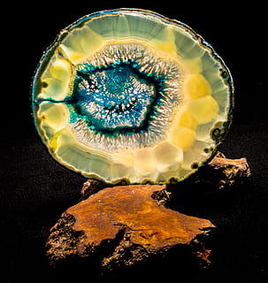 agate slice, blue, close, light, animal, animal themes, animal wildlife, close-up, no people, sea, animals in the wild, black background, marine, sea life, studio shot, solid, nature, water, single object, invertebrate, indoors, jewelry, one animal, rock, precious gem, 2K, CC0, public domain, royalty free