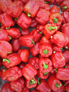 stos, czerwony, papryka, pieprz, Chilli, warzywo, organiczny, jedzenie i picie, jedzenie, pełna ramka, duża grupa obiektów, świeżość, rynek, zdrowe odżywianie, na sprzedaż, obfitość, tła, sprzedaż, dobre samopoczucie, Stragan, przyprawa, martwa natura, żadnych ludzi, wysoki kąt widzenia, czerwona papryka chili, dojrzały, 2K, CC0, domena publiczna, darmowe zdjęcia