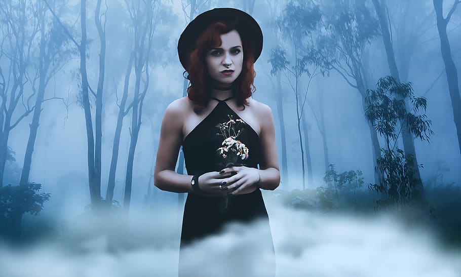 žena, nošení, ohlávka, popruh, šaty, gotický, goth, temný, fantazie, mladý, Modelka, alternativního modelu, krása, gothic krása, gothic dívka, čepice, Černý klobouk, černé šaty, květiny, les, mlha, romantický, temný romantický, jedna osoba, rostlina, strom, mladého dospělého, ženy, stojící, Příroda, životního stylu, hledá, tři čtvrtletí, čelní pohled, dospělý, oblečení, pas nahoru, skutečných lidí, Mladá žena, digitální kompozitní, krásná žena, rozjímání, venku, účes, 2K