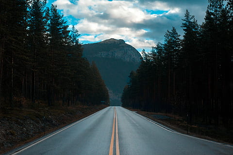 photo, trees, surrounding, gray, road, cloudy, sky, trees landscape photograph, mountain, tree, forest, veiw, transportation, direction, the way forward, plant, symbol, road marking, sign, nature, marking, no people, diminishing perspective, scenics - nature, vanishing point, beauty in nature, tranquility, outdoors, dividing line, pine woodland, pine tree, 5K, CC0, public domain, royalty free