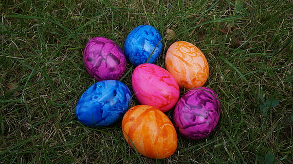 egg, colorful, easter, easter eggs, colorful eggs, painting, easter egg, color, grass, multi colored, plant, food, food and drink, no people, land, high angle view, celebration, field, nature, green color, day, close-up, choice, freshness, purple, outdoors, holi, 5K, CC0, public domain, royalty free