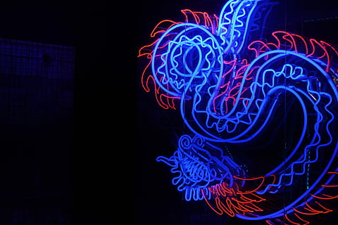 Blau, rot, Wyrm Drache Licht Dekor, Löwe Neonlicht Beschilderung, Beleuchtung, dunkel, Neon-, beleuchtet, Bewegung, schwarzer Hintergrund, abstrakt, Kreativität, keine Leute, Technologie, Muster, glühend, Lichtanlage, Licht - natürliches Phänomen, lebendige Farbe, Langzeitbelichtung, Lichtspur, Tier, Kunst und Handwerk, Design, Helligkeit, Komplexität, Marine, 4K, CC0, gemeinfrei, lizenzfrei