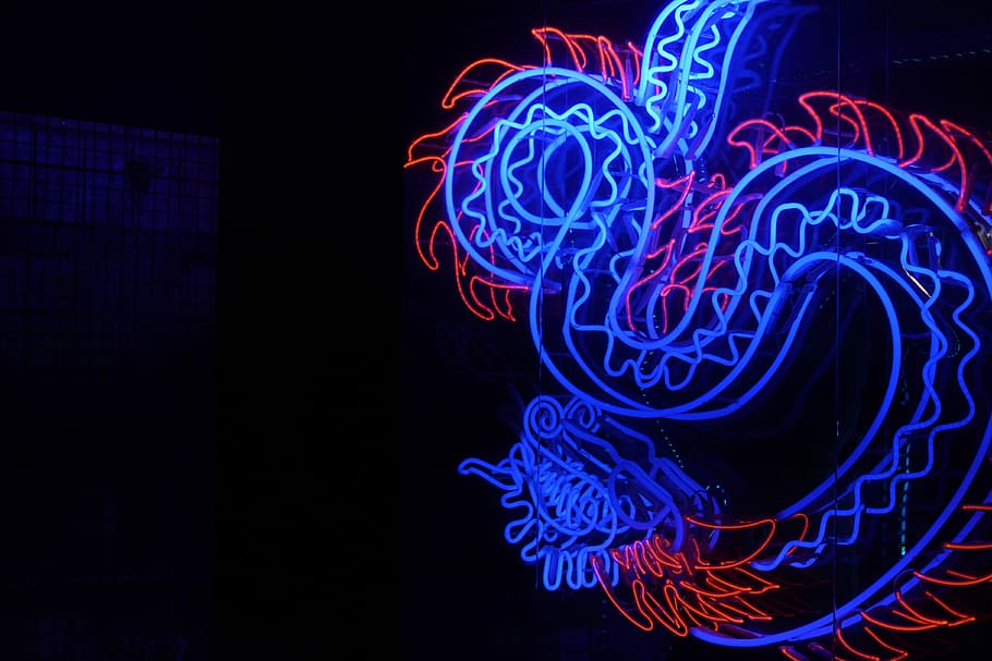 Blau, rot, Wyrm Drache Licht Dekor, Löwe Neonlicht Beschilderung, Beleuchtung, dunkel, Neon-, beleuchtet, Bewegung, schwarzer Hintergrund, abstrakt, Kreativität, keine Leute, Technologie, Muster, glühend, Lichtanlage, Licht - natürliches Phänomen, lebendige Farbe, Langzeitbelichtung, Lichtspur, Tier, Kunst und Handwerk, Design, Helligkeit, Komplexität, Marine, 4K