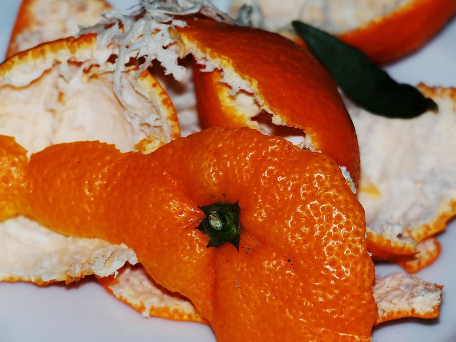 Orangenfruchtschale, Orangenschale, Schale, Orange, schließen, Oberfläche, Struktur, datailaufnahme, geschält, Abfall, Müll, organischer Abfall, Lebensmittel, Obst, Frische, Nahansicht, Orangenfrucht, Essen und Trinken, orange Farbe, gesundes Essen, keine Leute, Stillleben, fertig für den Verzehr, Wohlbefinden, Zitrusfrucht, drinnen, Fokus auf den Vordergrund, Genuss, High Angle View, Süßes Essen, Blatt, Versuchung, reif, Garnierung, 4K