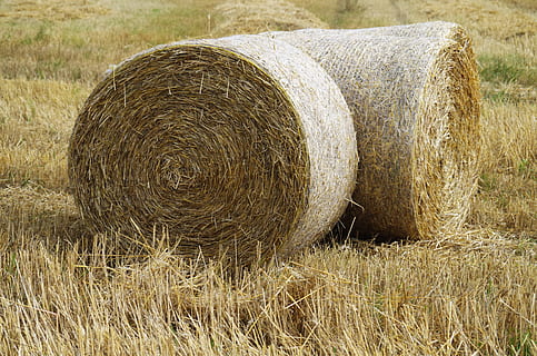 Saman, disk, alan, hasat, balya, tarım, bitki, kırsal manzara, peyzaj, Çiftlik, arazi, toplandı, çimen, doğa, insansız, gün, huzur, açık havada, kuru ot yığını, çevre, 4K, CC0, kamu malı, telif ücretsiz