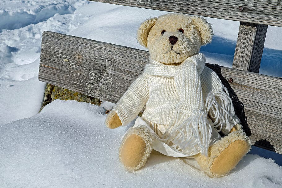 Brun, bære, plys, legetøj, sne, dækket, etage, dagtimerne, Bamse, bjørne, sidder, verschneiter, bank, sol, vinter, sød, nuttet, sjov, udstoppet dyr, kold temperatur, barndom, ingen mennesker, tøjdyr, dag, udendørs, tæt på, repræsentation, forladt, natur, sæde, emotion, menneskelig repræsentation, sjovt, træ - materiale, ekstremt vejr, 4K