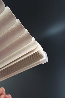 shutter, curtains, window, black background, indoors, studio shot, one person, human body part, copy space, close-up, human hand, hand, holding, men, textile, white color, unrecognizable person, body part, real people, clothing, paper, 5K, CC0, public domain, royalty free