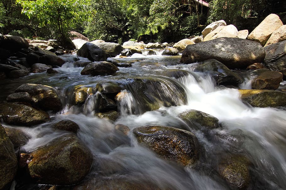 paesaggio, natura, acqua, rocce, torrente, ambiente, flusso, foresta, muschio, movimento, all'aperto, rapide, panoramico, pietre, ruscello, lasso di tempo, alberi, bagnato, boschi, roccia, solido, roccia - oggetto, acqua corrente, bellezza nella natura, albero, lunga esposizione, scenics - natura, movimento sfocato, terra, nessuno, fluente, pianta, fiume, giorno, flusso - acqua che scorre, potere in natura, 1080P