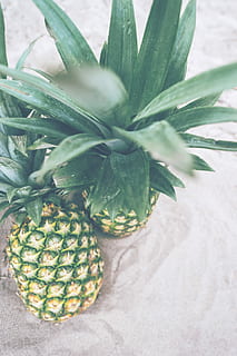 zwei Ananas, zwei, Ananasfrüchte, grau, Sand, Ananas, Obst, Strand, Nahansicht, frisches Obst, Lebensmittel, Ernährung, grüne Farbe, gesundes Essen, Essen und Trinken, Frische, Wohlbefinden, keine Leute, Tropische Frucht, Wachstum, Pflanze, Blatt, Natur, Stillleben, Pflanzenteil, Tag, draußen, reif, Zimmerpflanze, 5K, CC0, gemeinfrei, lizenzfrei