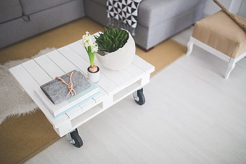 blanc, flor de pètal, superior, rodant, rectangular, fusta, taula, taula de cafè, industrial, Escandinau, estil de vida, casa, interior, decoració, a l'interior, vista d’angle alt, menjar i beguda, planta, cadira, tecnologia, habitació domèstica, planta en test, mobles, cap gent, relaxació, seient, comunicació, ordinador, negocis, tecnologia sense fils, connexió, equipament per a la llar, naturalesa, modern, vaixella, 5K, CC0, domini públic, lliure de regalies