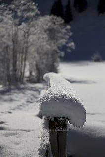 invernale, la neve, nevoso, natura, Wipptal-Valsertal, inverno, temperatura fredda, congelato, Colore bianco, concentrarsi sulle conoscenze acquisite, giorno, copertura, pianta, albero, nessuno, avvicinamento, bellezza nella natura, ghiaccio, all'aperto, terra, legno - materiale, brina, neve polverosa, nevicando, post in legno, 5K, CC0, dominio pubblico, privo di copyright
