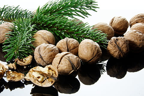 kiinni, valokuva, kastanjat, mutteri, nutshells, joulun aika, crack, joulu, hajoaminen, ruoka, leipoa, terve, pähkinät, kuusi, nordmann fir, haara, tulo, ruoka ja juoma, luonto, ei ihmisiä, kasvi, männynkäpy, puun lehti, tuoreus, puu, terveellinen ruokavalio, vihreä väri, kasvi-osa, suuri joukko esineitä, hyvinvointi, sisällä, päivä, lähikuva, keskittyä etualalle, yltäkylläisyys, mänty, havupuu, 2K, CC0, public domain, rojaltivapaa