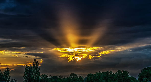 copaci, de aur, ora, soare, seară, razele, nori, apus de soare, cer, cerul de seară, siluetă, Abendstimmung, natură, scenics, nici o persoana, nor - cer, frumusețe în natură, mediu inconjurator, dramatic cer, scenice - natura, plantă, furtună, copac, peisaj, Cloudscape, rază de soare, în aer liber, liniște, atmosfera moody, lumina soarelui, întuneric, 4K, CC0, domeniu public, fără drepturi de autor