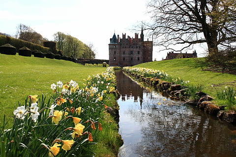 fyn, egeskov, slot, forår, Danmark, Egeskov, slot, historie, arkitektur, rejsemål, bygning udvendig, bygget struktur, udendørs, plante, vand, blomst, blomstrende plante, natur, træ, vækst, græs, dag, skønhed i naturen, ingen mennesker, sø, grøn farve, himmel, formelle have, have, 4K, CC0, offentligt domæne, royaltyfrie