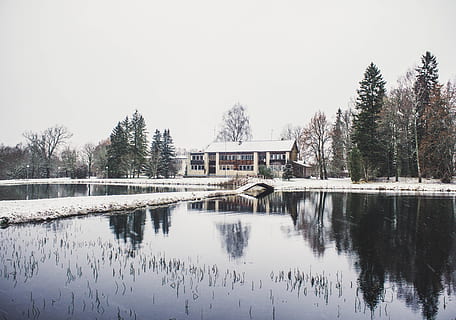 house, surrounding, trees, body, water photography, architecture, bridge, daylight, lake, landscape, outdoors, reflections, scenic, sky, snow, water, winter, tree, plant, built structure, reflection, beauty in nature, nature, scenics - nature, no people, building exterior, waterfront, day, tranquility, building, cold temperature, 4K