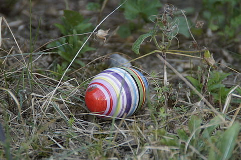 ou de Pasqua, prat, primavera, conill de Pasqua, Pasqua, perdut, amagat, ou, ratlles, colorit, multicolor, cap gent, herba, dia, terra, camp, vermell, menjar i beguda, menjar, naturalesa, a l'aire lliure, primer pla, planta, enfocament selectiu, centrar-se en primer pla, vista d’angle alt, natura morta, 5K, CC0, domini públic, lliure de regalies