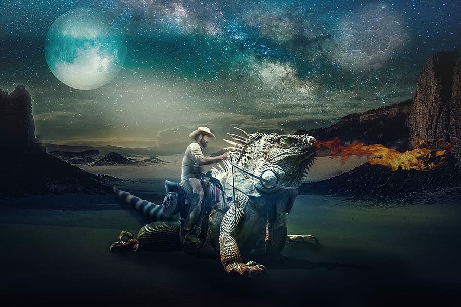 home, muntar a cavall, gris, iguana, pintura, fantasia, un passeig salvatge, composició, drac, reiterar, aigua, naturalesa, cel, astronomia, mar, estrella - espai, compost digital, nit, espai, gent, longitud completa, fauna animal, sota l'aigua, adult, dues persones, exploració, a l'aire lliure, 2K