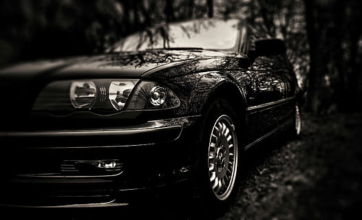 czarny sedan, bmw, e46, combi, automatyczny, czarny i biały, bmw, e46, czarny, ciemność, samochód, żadnych ludzi, na dworze, dzień, pojazd silnikowy, środek transportu, transport, pojazd lądowy, w stylu retro, drzewo, zbliżenie, Natura, skupić się na pierwszym planie, podróżować, odbicie, koło, selektywne skupienie, ruch, Droga, luksus, 2K, CC0, domena publiczna, darmowe zdjęcia