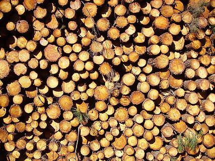 lemn, Buturuga, busteni, pin, trompă, cherestea, lemne de foc, cadru complet, despădurire, industria cherestelei, abundenţă, grup mare de obiecte, grămadă, fundaluri, lemn - material, copac, pădure, nici o persoana, combustibil și generarea de energie electrică, probleme de mediu, natură, combustibil fosil, maro, în aer liber, Woodpile, tocat, 2K, CC0, domeniu public, fără drepturi de autor