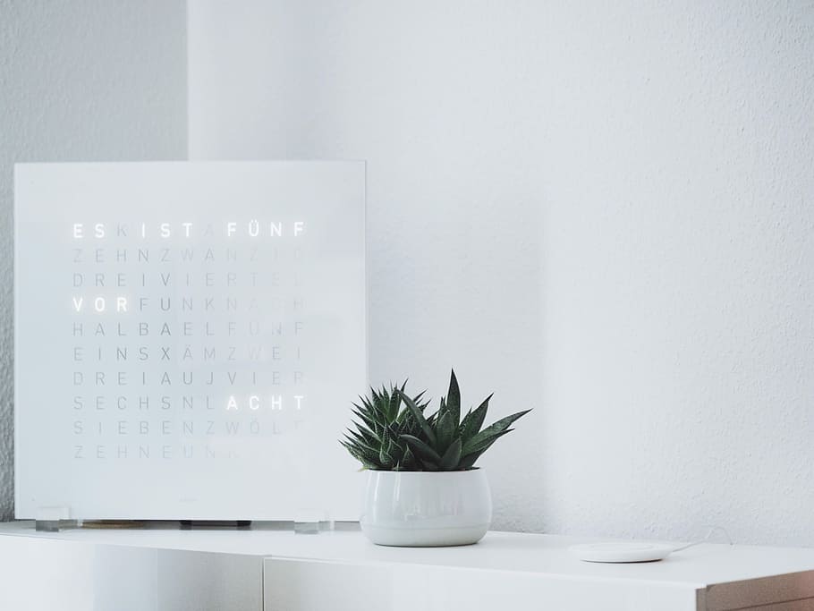grøn, saftige, plante, hvid, skænk, bladede, træ-, skrivebord, ur, værelse, indemøbler, indretning, hjem, ren, minimal, indendørs, murbygningsfunktion, potteplante, ingen mennesker, bord, hvid farve, natur, kopiere plads, vækst, dag, grøn farve, blad, møbel, væg, plante del, stueplante, vand, hylde, 1080P