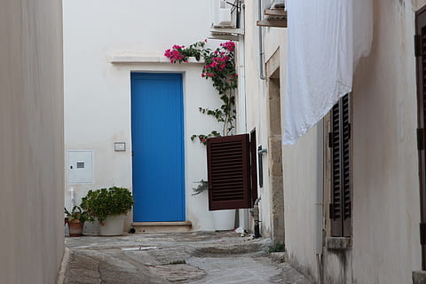 door, blue, white, otranto, puglia, salento, italy, glimpse, historical centre, holidays, architecture, built structure, building exterior, plant, building, flower, flowering plant, house, residential district, day, nature, potted plant, no people, entrance, window, city, outdoors, wall - building feature, growth, alley, 5K, CC0, public domain, royalty free