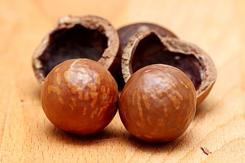 schließen, Foto, runde Nüsse, australisch, Hintergrund, gebrochen, braun, Ader, Riss, knirschen, Haselnuss, Lebensmittel, Obst, Gruppe, gesund, isoliert, Kernel, Macadamia, natürlich, Nuss, Ernährung, Nussschale, organisch, Eiweiß, Schale, Weiß, Essen und Trinken, gesundes Essen, Wohlbefinden, Frische, Studioaufnahme, Nahansicht, Holz - Material, zwei Objekte, drinnen, keine Leute, farbiger Hintergrund, Fokus auf den Vordergrund, Stillleben, Gruppe von Objekten, Einfachheit, drei Objekte, Zutat, reif, 2K, CC0, gemeinfrei, lizenzfrei