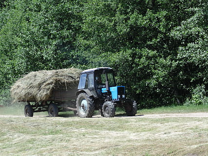 traktor, hø, Skov, transportmidler, udendørs, dag, arbejder, ingen mennesker, træ, dæk, plante, transportform, land køretøj, natur, Mark, jord, vækst, sollys, landbrugsudstyr, vej, landskab, lastbil, grøn farve, græs, 2K, CC0, offentligt domæne, royaltyfrie