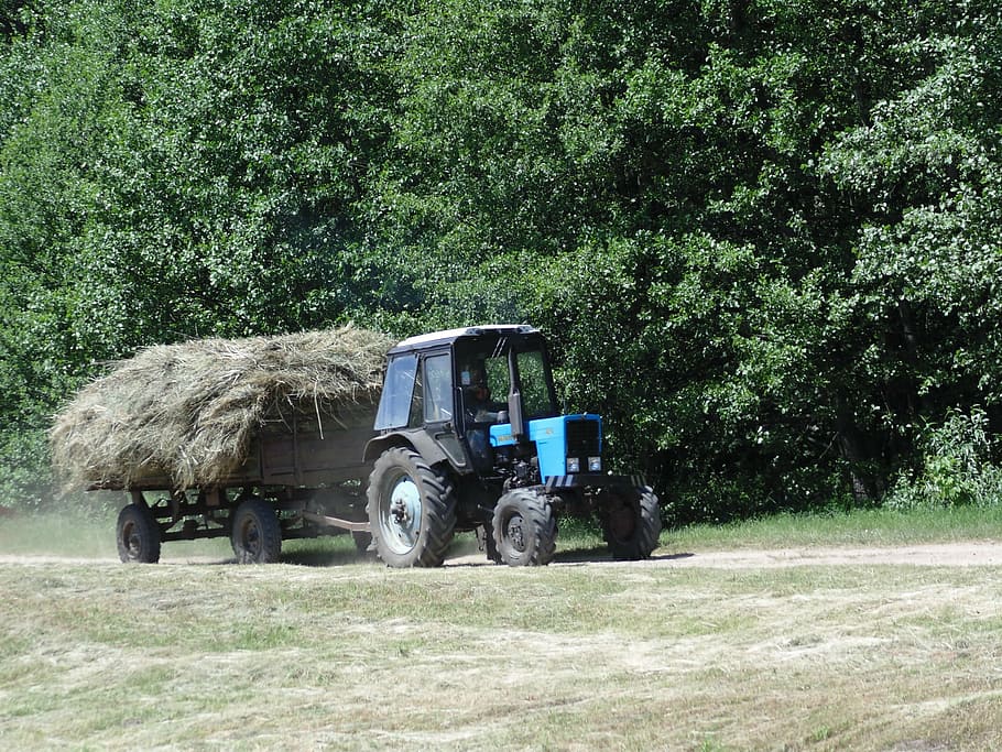traktor, hø, Skov, transportmidler, udendørs, dag, arbejder, ingen mennesker, træ, dæk, plante, transportform, land køretøj, natur, Mark, jord, vækst, sollys, landbrugsudstyr, vej, landskab, lastbil, grøn farve, græs, 2K