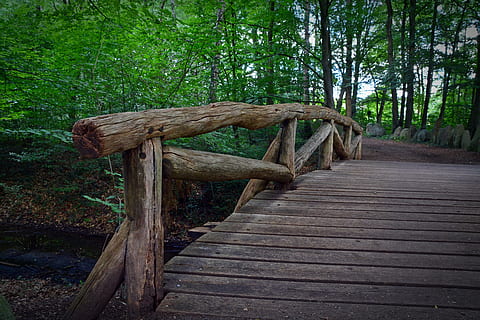 pont, barana, bosc, camí forestal, fusta, web, transició, escènic, vell, passeig marítim, pont de fusta, arbres, naturalesa, material de fusta, arbre, a l'aire lliure, sendera, parc - l'home va fer espai, planta, terra, el camí a seguir, direcció, cap gent, dia, arquitectura, creixement, estructura construïda, tranquil·litat, escena no urbana, buit, passarel·la, llarg, 5K, CC0, domini públic, lliure de regalies