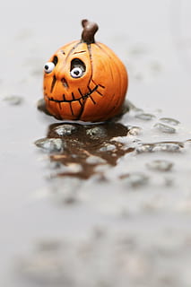 miniatyr, figur, gresskar, liten, oransje farge, ingen folk, halloween, dyr, dyre temaer, selektiv fokusering, nærbilde, ett dyr, natur, dag, kreativitet, vann, mat og Drikke, mat, dyreliv, utendørs, vannkanten, ansikt, overflatenivå, 5K, CC0, offentlig domene, opphavsrett gratis