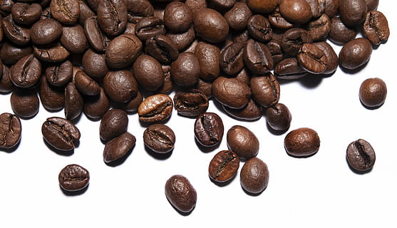 braun, Kaffeebohnen viel, Kaffee, Kaffeebohnen, Körner, Bohne, Koffein, Kaffee trinken, Getränk, geröstet, Cafe, Espresso, Nahansicht, Hintergründe, duftend, Samen, Kaffee Ernte, schwarze Farbe, dunkel, Mokka, Cappuccino, Lebensmittel, geröstete Kaffeebohne, Essen und Trinken, große gruppe von gegenständen, weißer Hintergrund, Kaffeebohne, drinnen, Frische, Stillleben, keine Leute, Studioaufnahme, Fülle, High Angle View, Gruppe, 5K, CC0, gemeinfrei, lizenzfrei