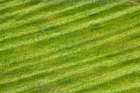 corsa, verde, modello, struttura, taglio, colore verde, sfondi, erba, fotogramma intero, pianta, natura, nessuno, bellezza nella natura, terra, campo, giorno, ambiente, paesaggio, all'aperto, scenics - natura, luce del sole, colore vibrante, vista dall'alto, crescita, scena rurale, sfondi astratti, torba, 5K, CC0, dominio pubblico, privo di copyright