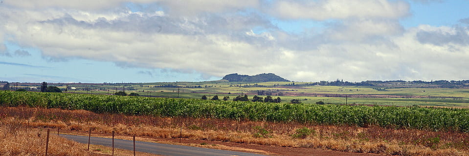 Maui, Landschaft, Zuckerrohr, Landwirtschaft, Feld, Natur, Bauernhof, ländliche Szene, Umgebung, Himmel, wolke - himmel, Szenen - Natur, Land, Pflanze, ruhige Szene, Ruhe, Schönheit in der Natur, Wachstum, Weinberg, Ernte, keine Leute, draußen, Wein machen, Plantage, 5K, CC0, gemeinfrei, lizenzfrei