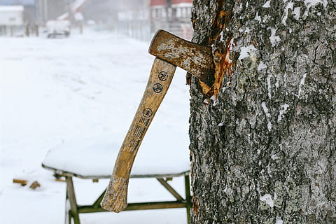 axe sticked, tree trunk, brown handle hatchet, axe, tree, chop, outdoor, wood, snow, cold temperature, winter, wood - material, metal, day, no people, focus on foreground, rusty, close-up, nature, old, frozen, outdoors, trunk, textured, weathered, deterioration, 4K, CC0, public domain, royalty free