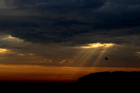 crepuscolare, raggi ar, cielo, nube, crepuscolo, raggi, tempesta, uccelli, paesaggio, nuvola - cielo, silhouette, tramonto, animale, temi animali, vertebrato, un animale, scenics - natura, uccello, bellezza nella natura, colore arancione, fauna selvatica, animali allo stato selvatico, scena tranquilla, volante, natura, la tranquillità, cielo drammatico, idilliaco, nessuno, all'aperto, 5K, CC0, dominio pubblico, privo di copyright