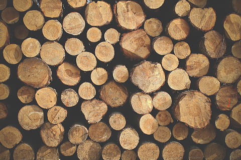 mucchio, Marrone, log lotto, pallet, logs, struttura, modello, sfondo, legna, naturale, scenario, ricreazione, giovane, legname, legna da ardere, calore, pila, ceppo, catasta di legna, legno - materiale, industria del legname, fotogramma intero, grande gruppo di oggetti, sfondi, abbondanza, albero, la deforestazione, nessuno, foresta, combustibile e produzione di energia, strutturato, problemi ambientali, all'aperto, 4K, CC0, dominio pubblico, privo di copyright