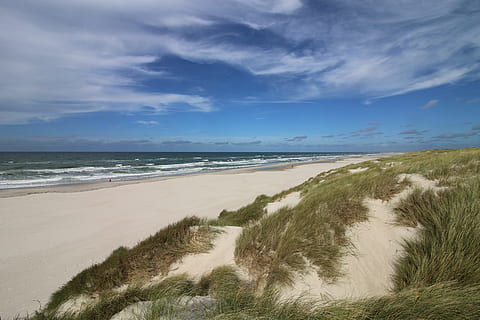 Brun, kysten, overskyet, blå, himmel, strand, klit, Sky, sand, vind, ocean, hav, Nordsøen, Danmark, Nordfriesland, sommer, baltiske hav, sten, sandstrand, vraggods, natur, scenics, ro, vand, jord, skønhed i naturen, scenics - natur, sky - himmel, horisont over vand, rolig scene, ikke-urbane scene, horisont, græs, dag, plante, ingen mennesker, marram græs, udendørs, 5K, CC0, offentligt domæne, royaltyfrie