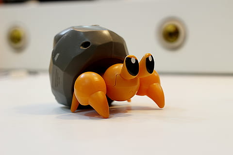 noir, Orange, jouet en plastique créature de la mer, Crabe, pokemon, Dwebble, évolution, représentation, jouet, personne, fermer, à l'intérieur, se concentrer sur le premier plan, nature morte, jaune, ombre, canard en caoutchouc, représentation humaine, mise au point sélective, objet unique, figurine, art et Artisanat, la faune des animaux, 5K, CC0, domaine public, libre de droits