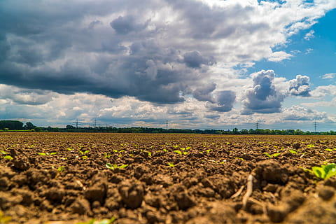 himmel, skyer, blå, mørke skyer, skyer form, overdækket himmel, himlen, Mark, jorden, landskab, humør, natur, aftenhimmel, atmosfærisk, dækket, skumring, jord, landbrug, sky - himmel, miljø, landlige scene, plante, gård, skønhed i naturen, vækst, scenics - natur, smuds, afgrøde, ro, dag, rolig scene, ingen mennesker, pløjet felt, udendørs, overflade niveau, plantning, mudder, 5K, CC0, offentligt domæne, royaltyfrie