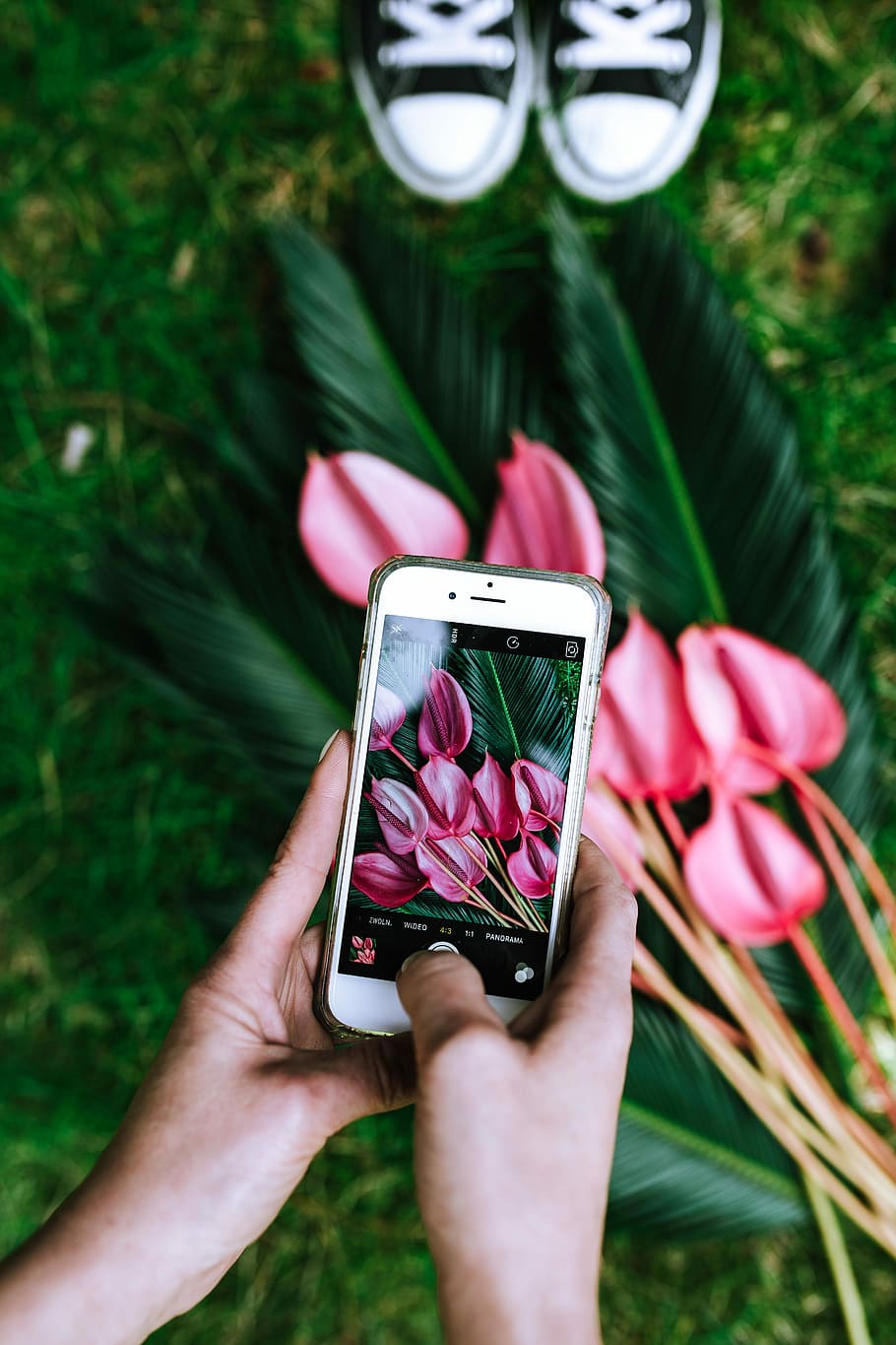 Colorful, Exotic, Flowers, Greenery, flora, leaf, leaves, tropical, multicolor, mobile Phone, smart Phone, telephone, outdoors, technology, nature, women, females, human Hand, people, holding, grass, equipment, green Color, one Person, wireless Technology, summer, human body part, portable information device, plant, hand, real people, flowering plant, flower, pink color, personal perspective, day, connection, focus on foreground, body part, finger, 5K